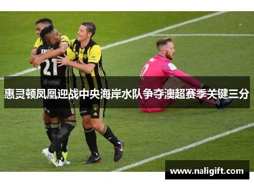 惠灵顿凤凰迎战中央海岸水队争夺澳超赛季关键三分