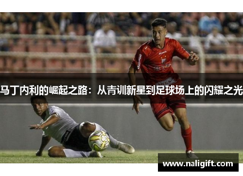 马丁内利的崛起之路：从青训新星到足球场上的闪耀之光